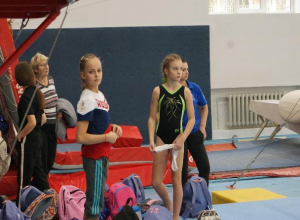Команда из Волгодонска заняла второе место в областном турнире по спортивной гимнастике Команда из Волгодонска заняла второе место в областном турнире по спортивной гимнастике