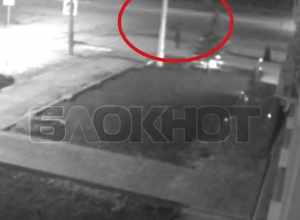 Дерзкое похищение туи возле администрации Волгодонска попало на видео Дерзкое похищение туи возле администрации Волгодонска попало на видео