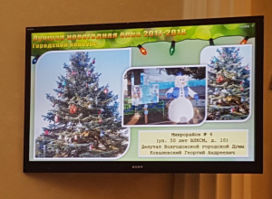 Морские, винтажные, европейские волгодонские елки возглавили новогодний топ Морские, винтажные, европейские волгодонские елки возглавили новогодний топ