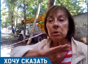 С дуру режут, - член творческой ассоциации при ЮНЕСКО о вырубке деревьев у «Дома художников» в Волгодонске С дуру режут, - член творческой ассоциации при ЮНЕСКО о вырубке деревьев у «Дома художников» в Волгодонске