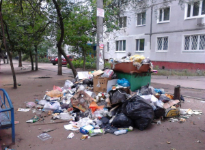 Волгодонск прославился на весь регион своим мусором Волгодонск прославился на весь регион своим мусором