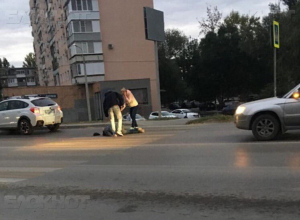 На Степной перед «зеброй» может появиться новый «лежачий полицейский» На Степной перед «зеброй» может появиться новый «лежачий полицейский»