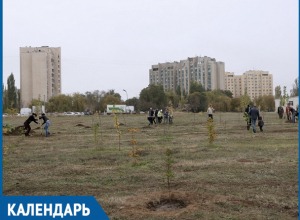 В эти дни 35 лет назад в парке «Молодежном» были высажены первые деревья В эти дни 35 лет назад в парке «Молодежном» были высажены первые деревья