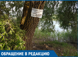 В садоводстве «Мичуринец» нашли способ борьбы с мусором В садоводстве «Мичуринец» нашли способ борьбы с мусором