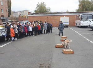 В Волгодонске правоохранители провели для школьников день открытых дверей В Волгодонске правоохранители провели для школьников день открытых дверей