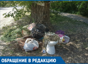 «Стихийный сортир» или несанкционированная свалка: выброшенный под дерево унитаз уже месяц мозолит глаза волгодонцам «Стихийный сортир» или несанкционированная свалка: выброшенный под дерево унитаз уже месяц мозолит глаза волгодонцам