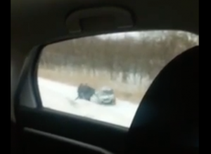 ВАЗ слетел в кювет с заснеженной трассы под Волгодонском ВАЗ слетел в кювет с заснеженной трассы под Волгодонском