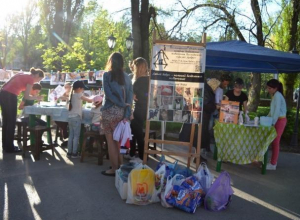 В парке Победы бездомные собаки попытаются найти новый дом В парке Победы бездомные собаки попытаются найти новый дом
