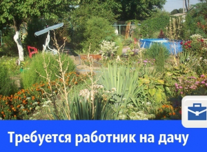 В Волгодонске ищут работников на дачу В Волгодонске ищут работников на дачу