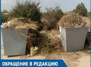 Волгодонцы просят наказать виновного в постоянных мусорных свалках на кладбище №2 Волгодонцы просят наказать виновного в постоянных мусорных свалках на кладбище №2