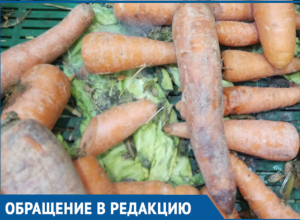 Прилавок с заплесневелыми овощами вывел из себя волгодончанку Прилавок с заплесневелыми овощами вывел из себя волгодончанку