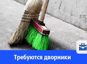 В Волгодонске требуются дворники и уборщики лестничных клеток В Волгодонске требуются дворники и уборщики лестничных клеток