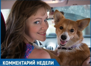 Жёлтые и зелёные «кружочки», похожие на отраву для животных, могут причинить вред детям, - основатель организации «Делай добро» Алёна Сёмина Жёлтые и зелёные «кружочки», похожие на отраву для животных, могут причинить вред детям, - основатель организации «Делай добро» Алёна Сёмина