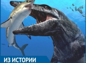 В 50 километрах от Волгодонска обнаружили скелет монстра-археоцета В 50 километрах от Волгодонска обнаружили скелет монстра-археоцета