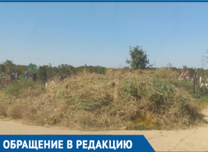 Горы мусора уже закрывают могилы, - волгодончанка Горы мусора уже закрывают могилы, - волгодончанка