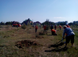 Волгодонцы очистили от мусора набережную Волгодонцы очистили от мусора набережную