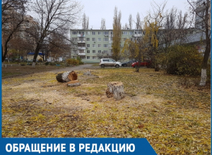 Спилили тополя и вербы, которые мы сажали своими руками, - житель Волгодонска Спилили тополя и вербы, которые мы сажали своими руками, - житель Волгодонска