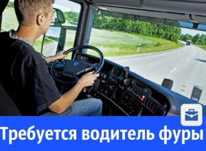 В Волгодонске ищут водителя фуры для междугородних перевозок В Волгодонске ищут водителя фуры для междугородних перевозок