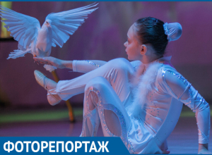 В Волгодонске прошла памятная дата «День белых журавлей» В Волгодонске прошла памятная дата «День белых журавлей»