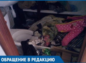 В пустующих квартирах детей-сирот собираются пьяные компании, - волгодонцы В пустующих квартирах детей-сирот собираются пьяные компании, - волгодонцы