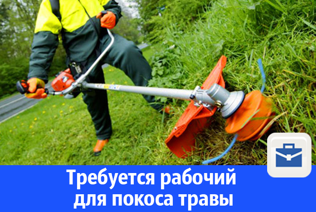 Требуется рабочий для покоса травы Требуется рабочий для покоса травы