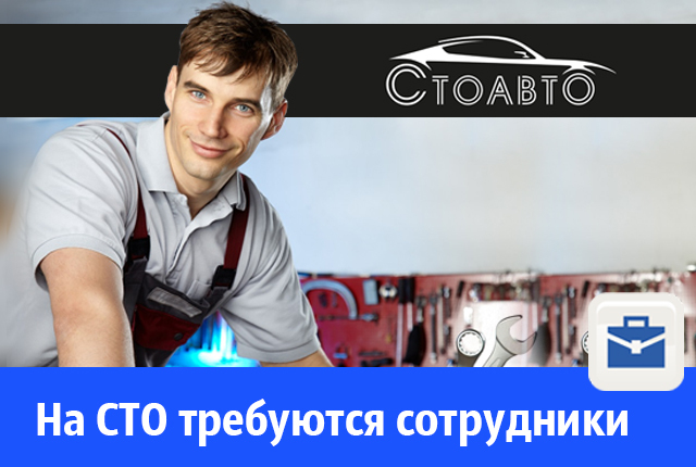 На «СТОАВТО» требуются автослесарь и кузовщик На «СТОАВТО» требуются автослесарь и кузовщик