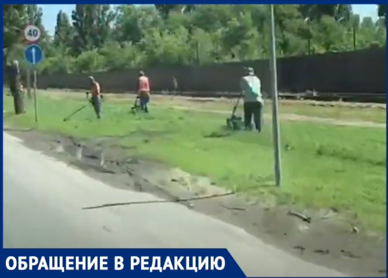 «А что так мало?»: порядка десяти коммунальщиков, косящих траву в одном месте, удивили волгодонца «А что так мало?»: порядка десяти коммунальщиков, косящих траву в одном месте, удивили волгодонца