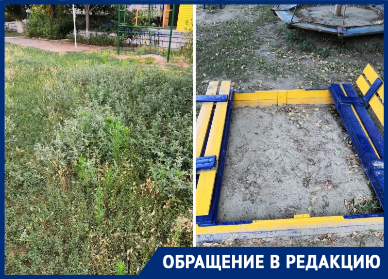 «Песка нет, зато трава по колено»: волгодонцы о состоянии детской площадки на Курчатова «Песка нет, зато трава по колено»: волгодонцы о состоянии детской площадки на Курчатова