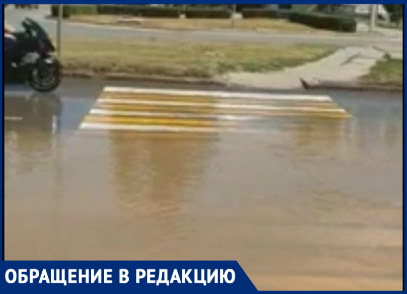 «Из-за постоянных порывов на пешеходных переходах мы вынуждены рисковать жизнью»: волгодонцы «Из-за постоянных порывов на пешеходных переходах мы вынуждены рисковать жизнью»: волгодонцы