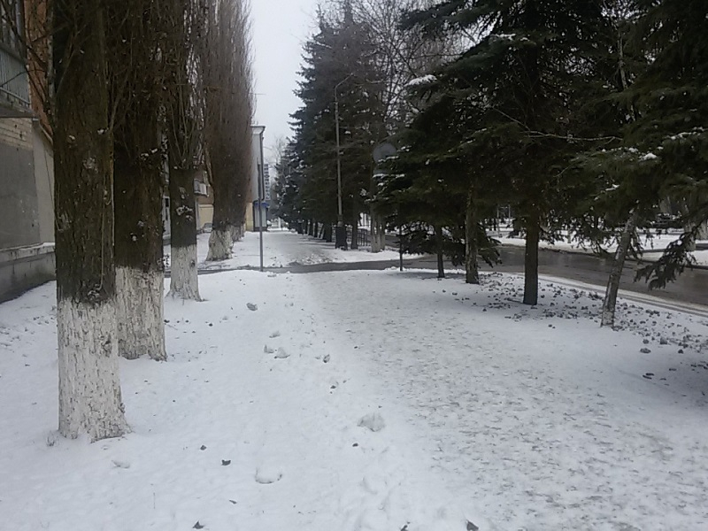 Плохую уборку старого города власти связали с томичами и барнаульцами Плохую уборку старого города власти связали с томичами и барнаульцами