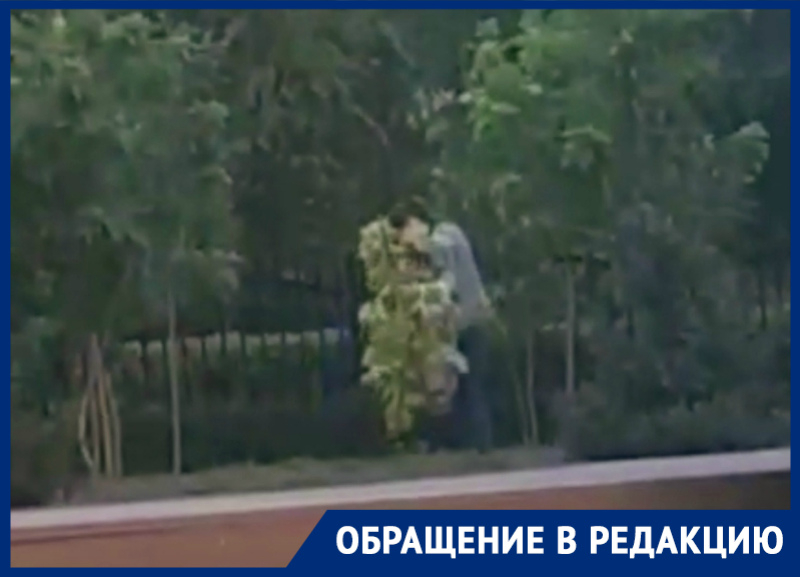 Девушка с пилой пожевала листья деревьев и уничтожила саженцы в сквере «Дружба» Девушка с пилой пожевала листья деревьев и уничтожила саженцы в сквере «Дружба»