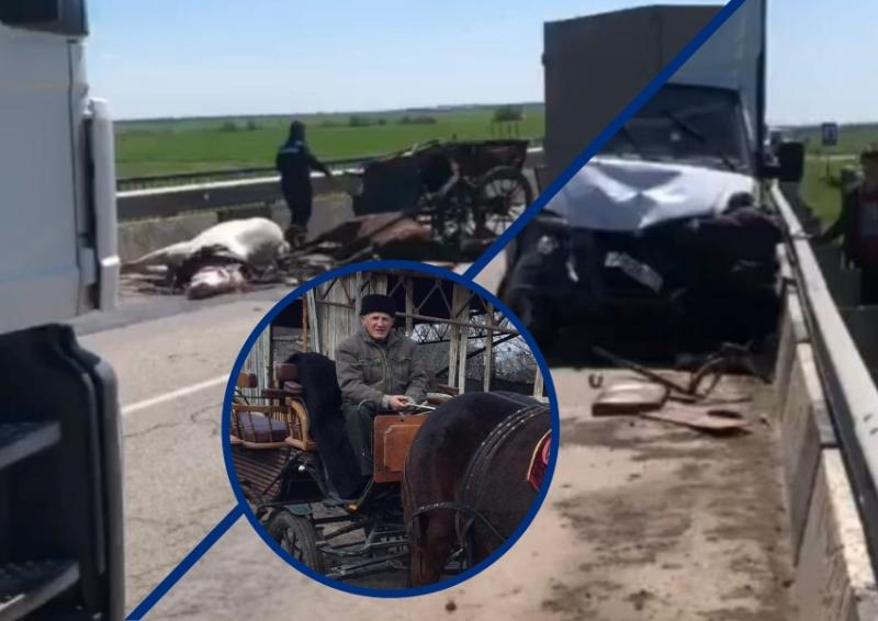 «Зеваки снимали на видео, но не помогали»: в аварии под Волгодонском погиб мужчина и две лошади «Зеваки снимали на видео, но не помогали»: в аварии под Волгодонском погиб мужчина и две лошади