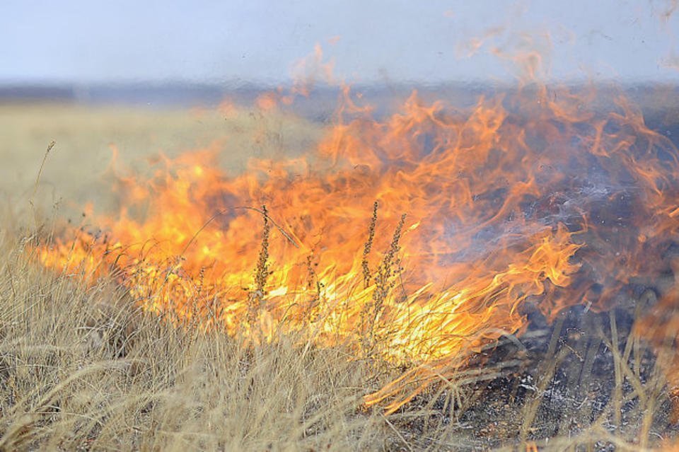 В Волгодонске и ближайших районах сохраняется высокая пожароопасность 