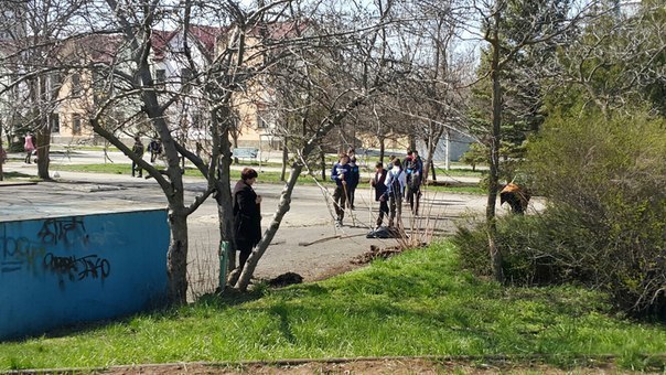 Волгодонские школьники из лицея №11 наводят порядок в сквере «Дружба»