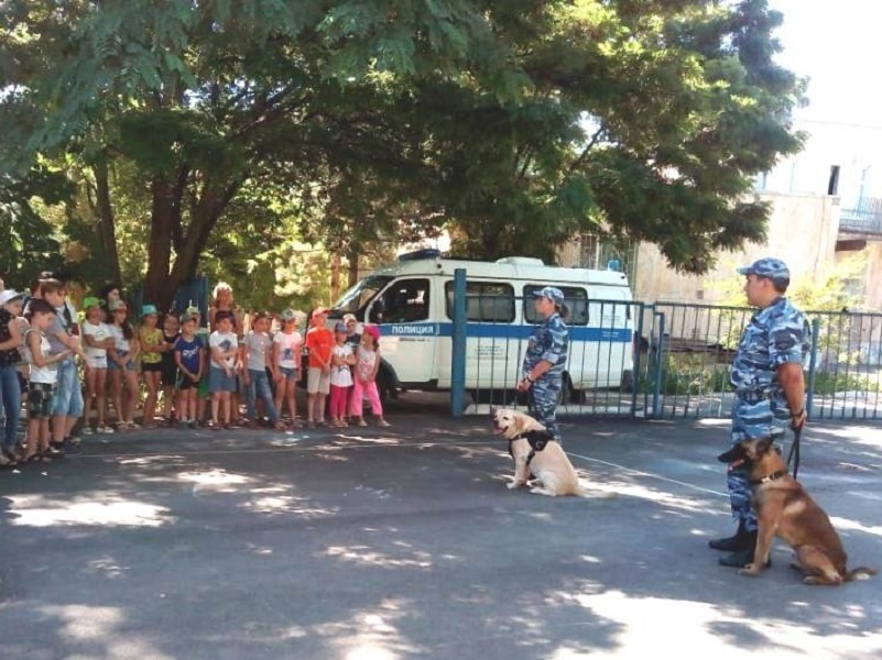 Полицейские собаки принесли радость школьником Волгодонска