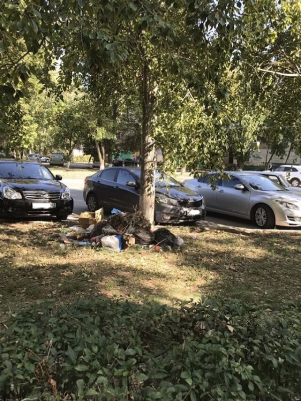 Свалка.jpg Свалка.jpg