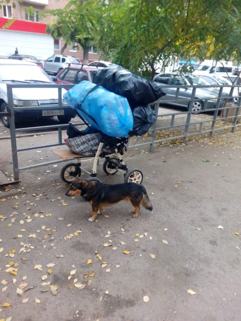 o9pF97HMNc8.jpg