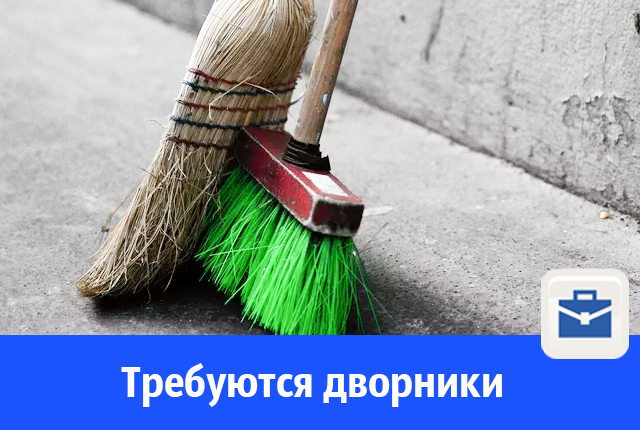 дворник.jpg