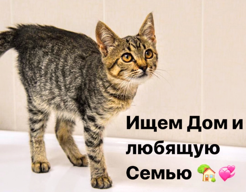 «Не все герои носят плащи» «Не все герои носят плащи»