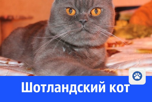 LgqRtfTFuIA.jpg