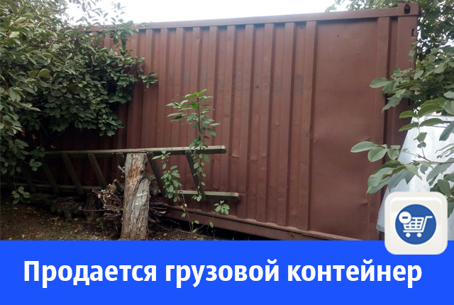 контейнер.jpg