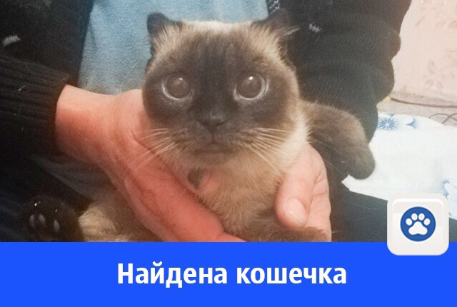 97G9yfy2UYo.jpg