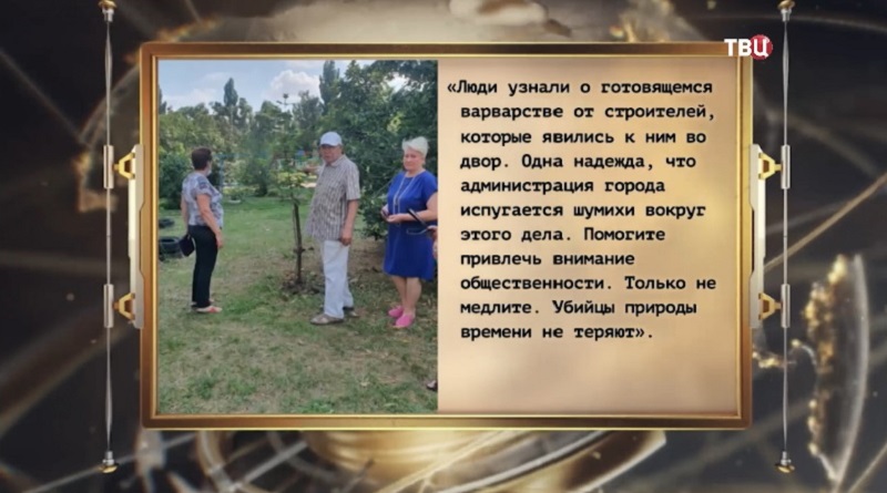 липы2.jpg липы2.jpg