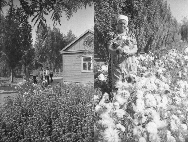 старые годы.jpg старые годы.jpg