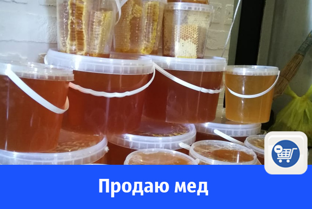 мед.jpg