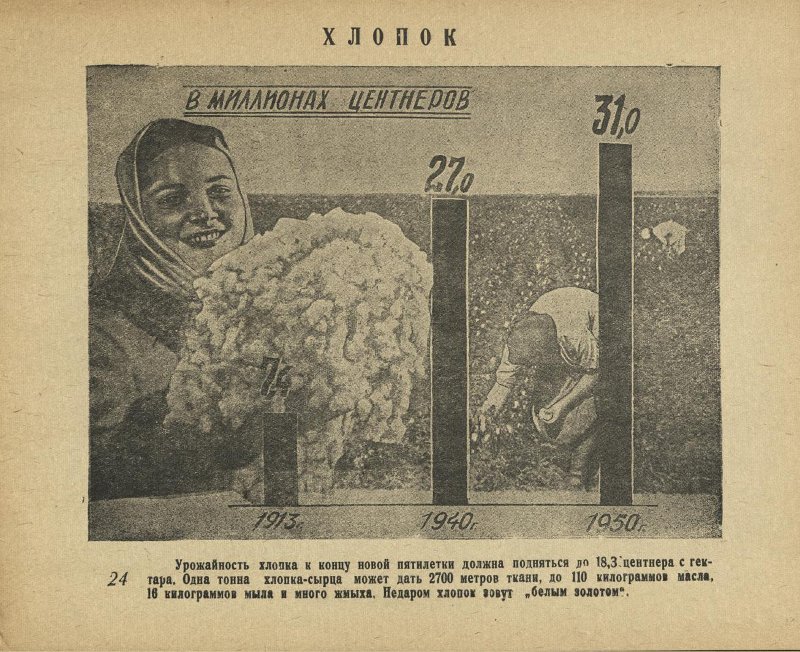 хлопок.jpg хлопок.jpg