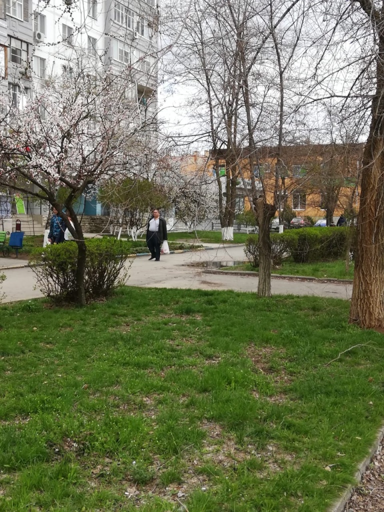 WhatsApp Image 2019-04-14 at 12.54.03.jpeg