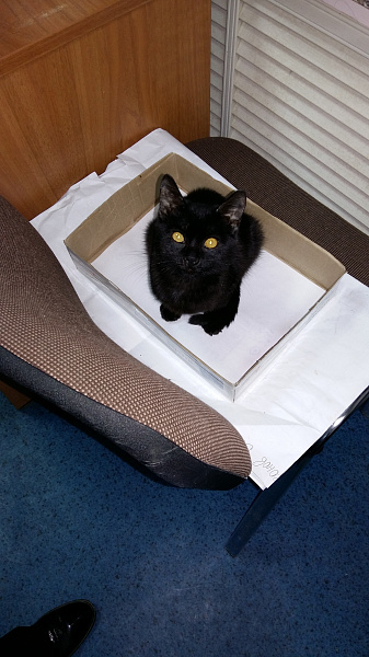 20151119_154426.jpg