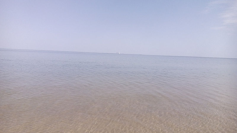 img_20150530_140322.jpg
