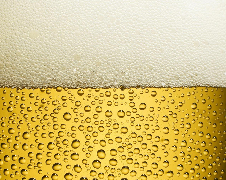 pivo.jpg